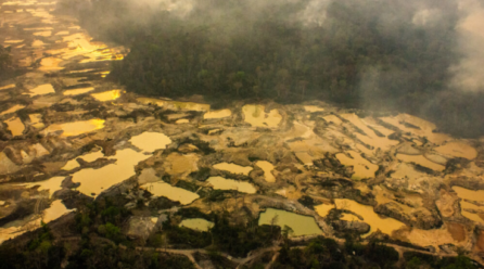 Incêndios florestais criminosos proliferam no Brasil