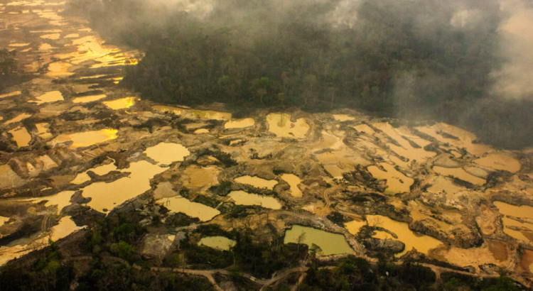 Incêndios florestais criminosos proliferam no Brasil